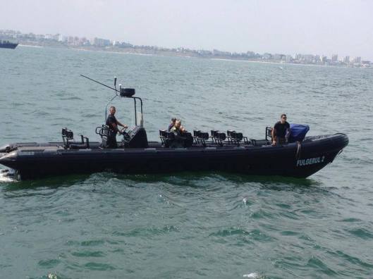 1157645_284027525069838_791502368_n