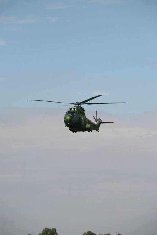 1229946_298560026949921_1066401104_n