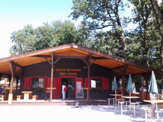 20130830_130700_99de173e8b