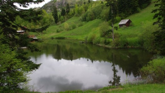 rosia_montana_peisaj_71099700