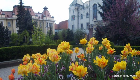 Targu+Mures+Panorama16