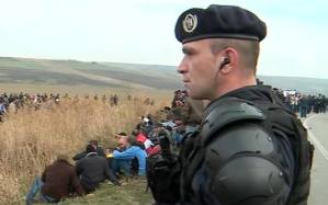 1385558_663315277021026_1331555158_n