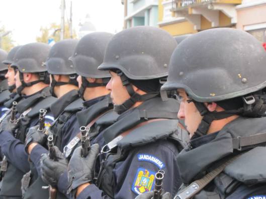 1395784_230190533812521_558328193_n