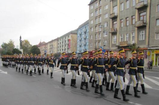 1395813_230189620479279_916545201_n