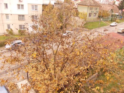 1381403_685578111454635_1458396530_n