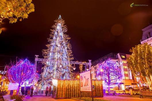 1452076_620943021299388_420670151_n