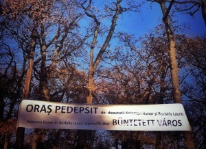 1471108_611837632186191_1284872914_n-300x218