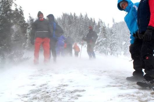 1545659_688506014502851_1556691539_n