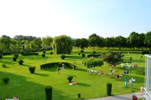 10254985_568197073298194_8628075763736282116_n