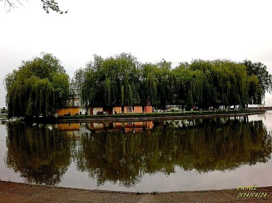 10257406_561822967268938_692528183728169846_o