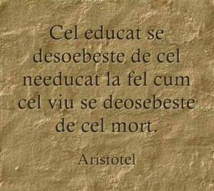 10259805_817422878287495_6332153585149884659_n