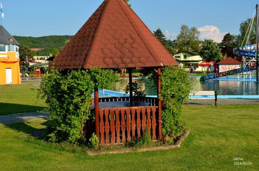 10267774_557561577695077_6311986152470309980_n