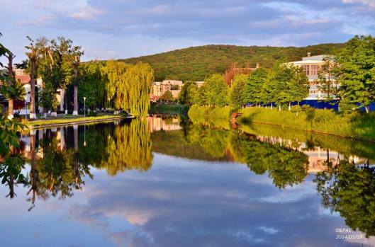 10391417_556729691111599_5204183733501092995_n