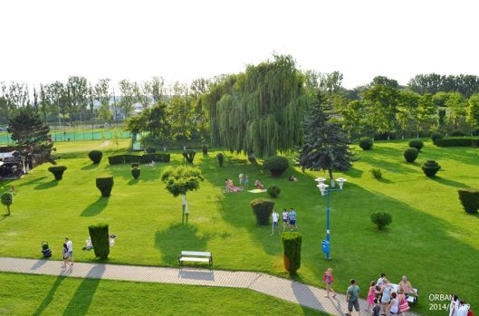 10431531_568197043298197_8110515481852900354_n