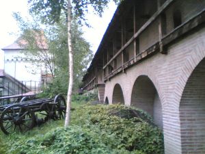 800px-Cetatea_medievala_tg_ms7