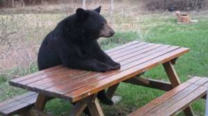 10268723_549543665163229_3944226316379875086_n