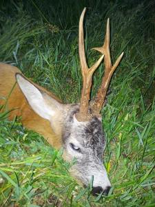 10268725_879484008743697_7241338190308832041_n