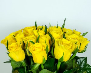 136008045321_Trandafiri_galbeni_Moonwalk_189.46_2ar