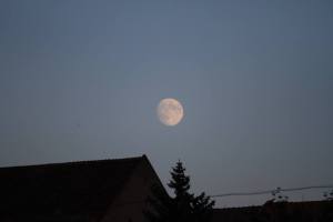 10351760_785799048139727_1977944828581622413_n