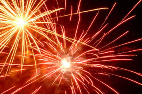 jerbe_scantei_artipet1