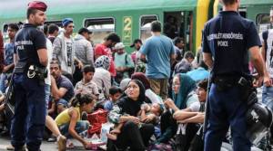 11921659_10153231646907815_2794443623673987150_n