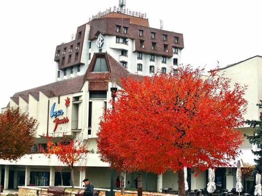 12241391_840091062775459_3859177556810206128_n