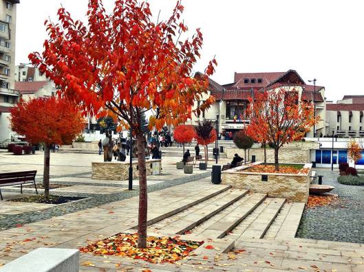 12246956_840090999442132_1221919976313862862_n