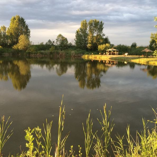 1. Delta din Glodeni.jpg