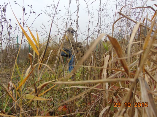 6. Liniste Se pescuieste.JPG