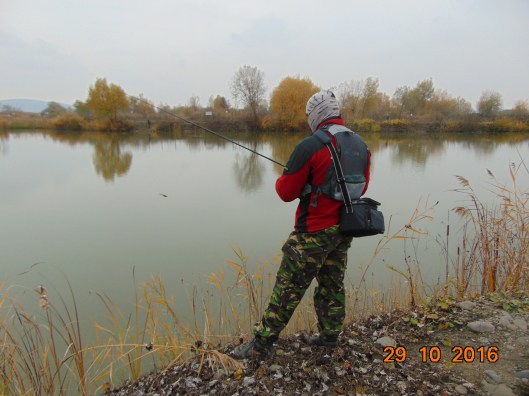 7 Concurent rabdator.JPG