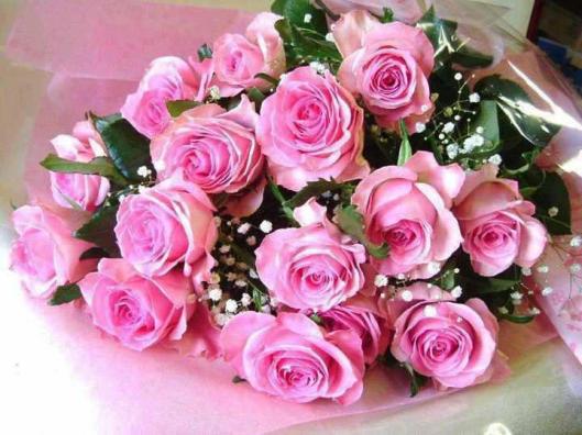 253339_447348945355409_239668027_n