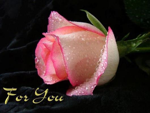 945686_447354218688215_1185681954_n