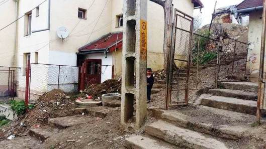 Contraste in Valea Rece.jpg