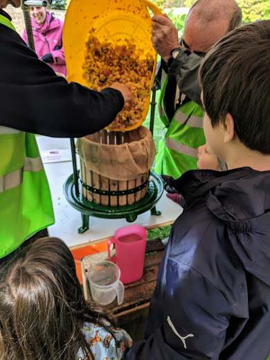IMG_20181007_112257.jpg
