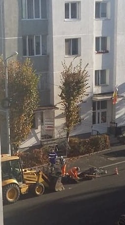 45374048_322470048343110_9152944344250974208_n (3).jpg