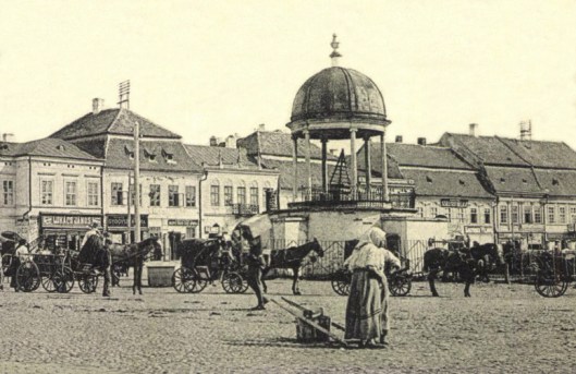 Tg Mures 1907 Fantana Bodor.jpg