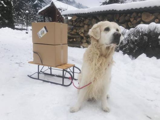 Bere artizanală, Noah, la Brew Garden!